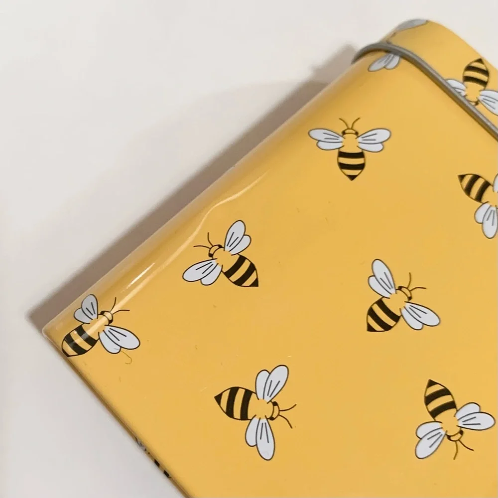 Burts bees chapstick tin case set